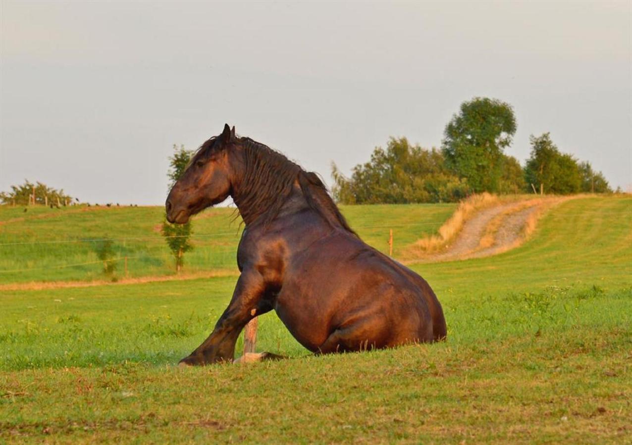 Ferienhof Kuerschner Drebach Luaran gambar
