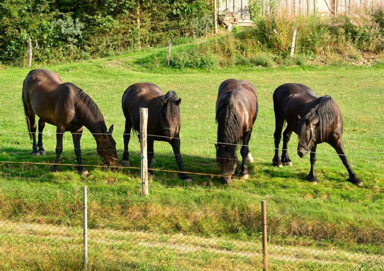 Ferienhof Kuerschner Drebach Luaran gambar