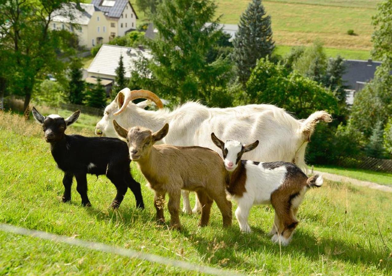 Ferienhof Kuerschner Drebach Luaran gambar